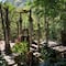 Toda la historia detrás del Jardín Escultórico Edward James de Las Pozas, en Xilitla