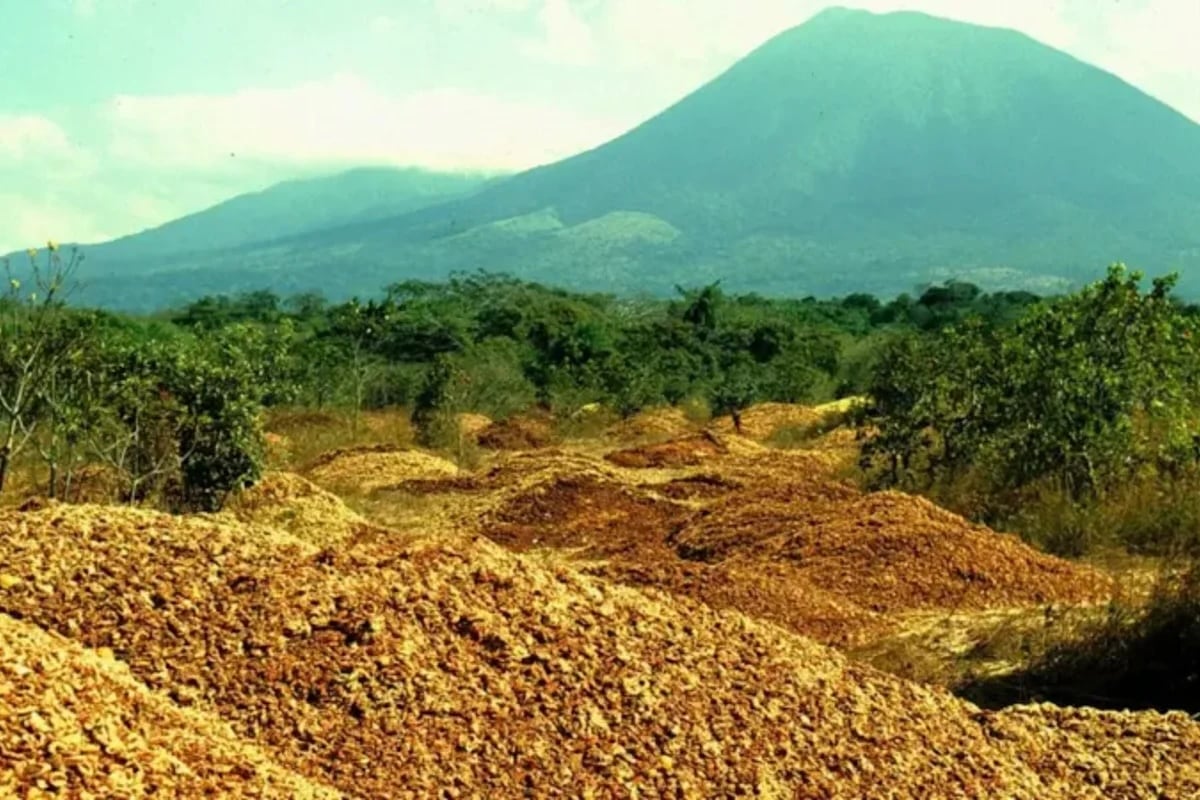 Hace 30 años enterraron miles de toneladas de cáscaras de naranja y el resultado sorprende