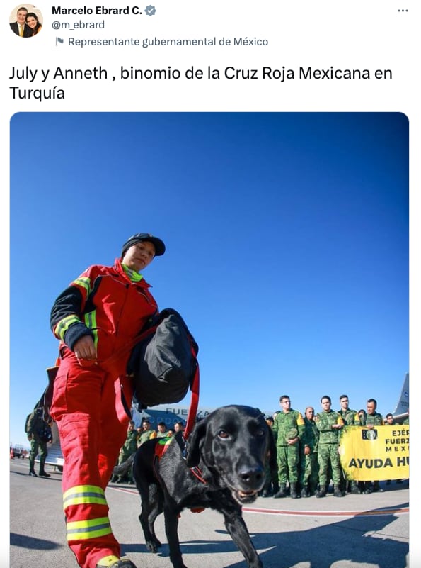 Avión de la Fuerza Aérea Mexicana aterriza en Turquía; misión de rescate se dirige a Adiyaman