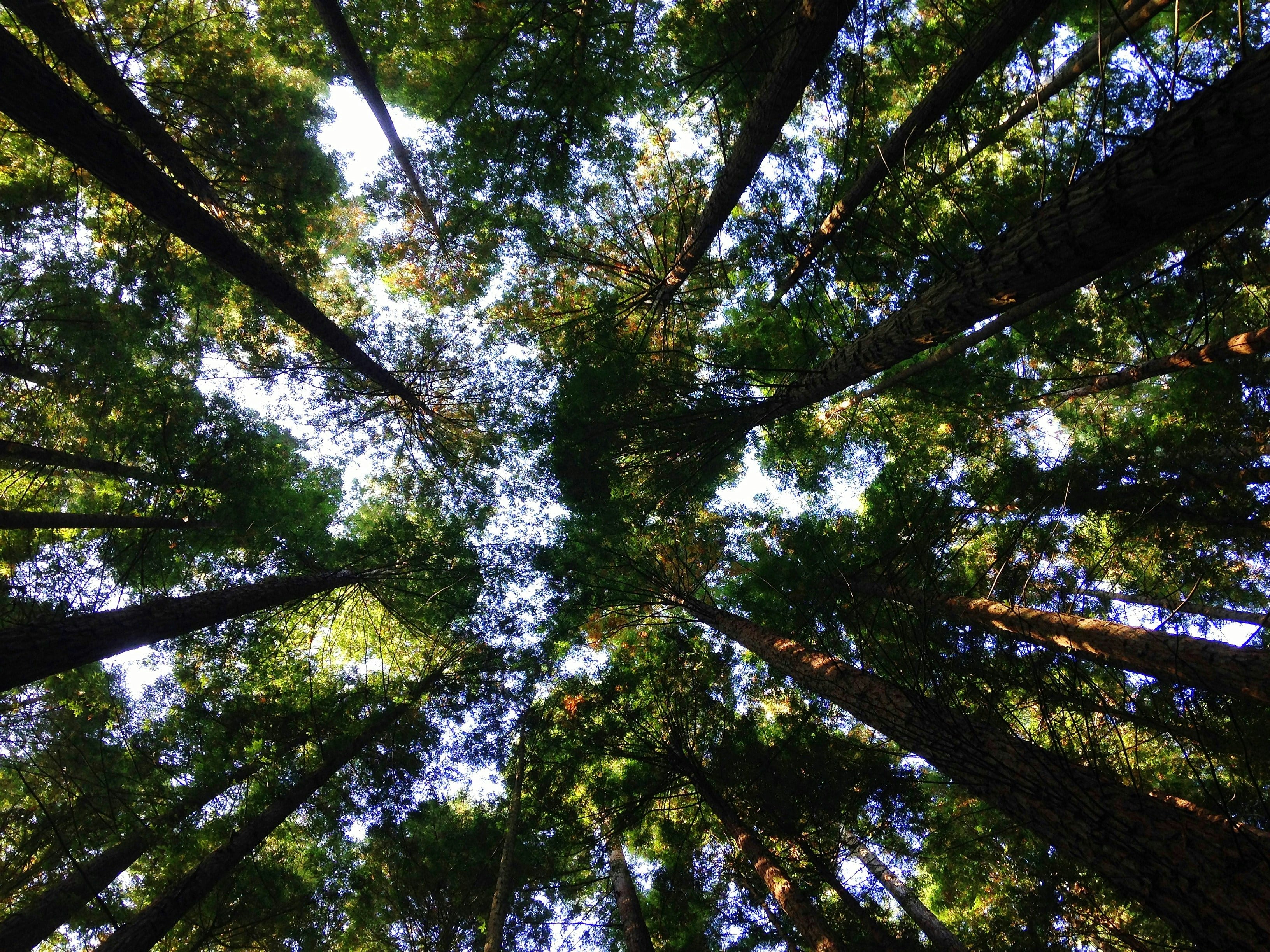 Este 5 de junio es el Día Mundial del Medio Ambiente