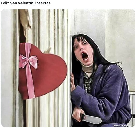 Los memes del Día de San Valentín
