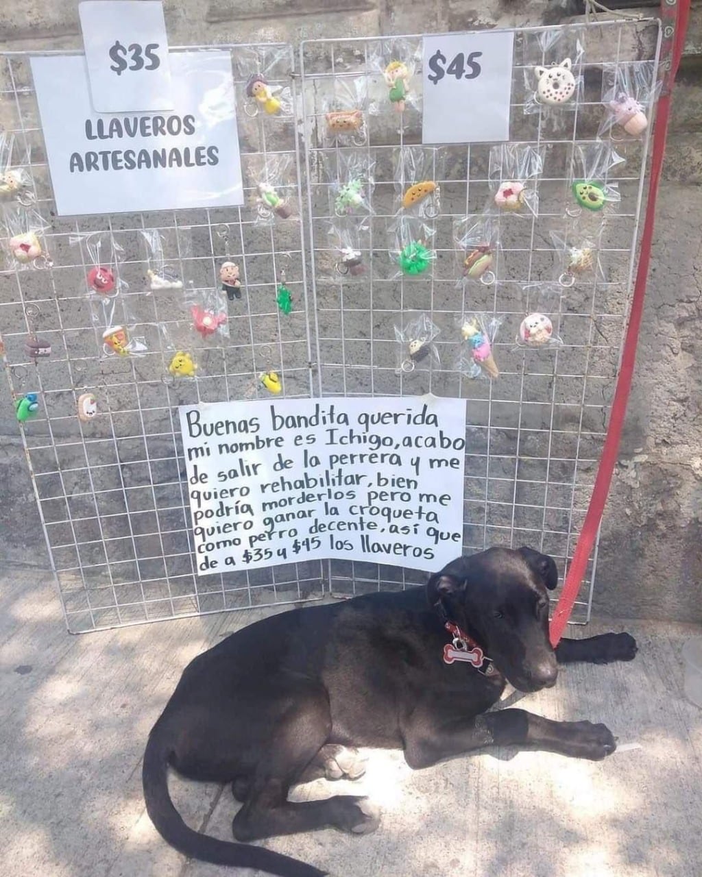 Perrito vende llaveros