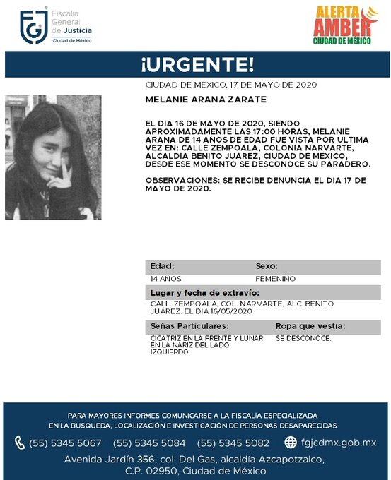 Ficha de búsqueda.