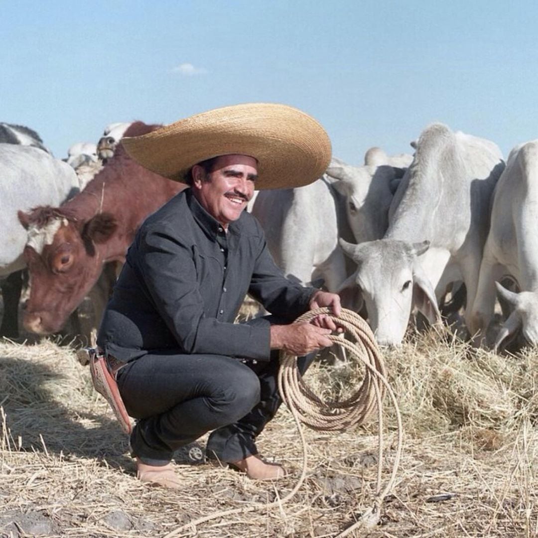 Vicente Fernández