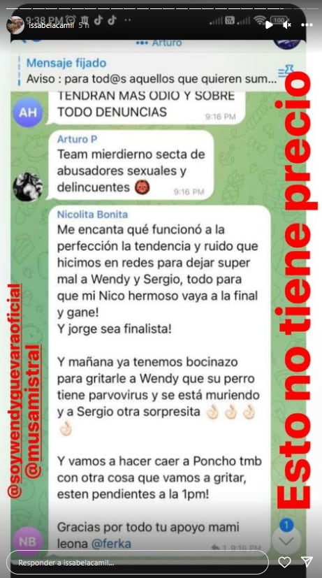 Esposa de Sergio Mayer minimiza agresión a Nicola Porcella, mostrando un complot en La Casa de los Famosos México.