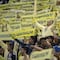 Club América anuncia que jugará ante Real Madrid en el Estadio Azteca