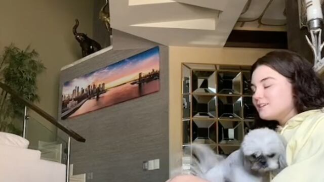 Perro ayudando con ataque de ansiedad