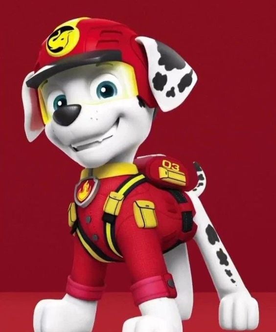 Fondo de pantalla de Marshall de Paw Patrol
