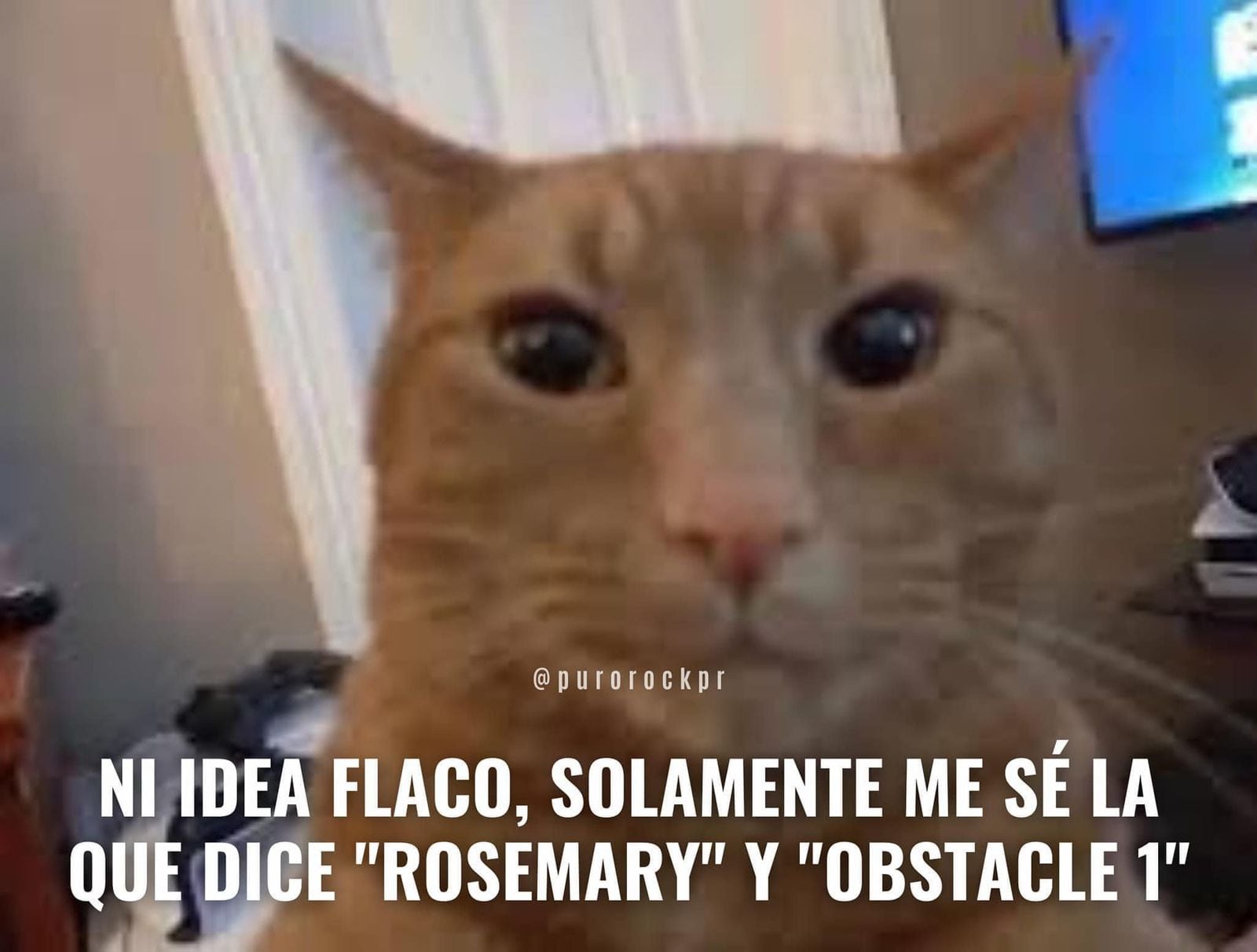 Memes por el concierto de Interpol en el Zócalo