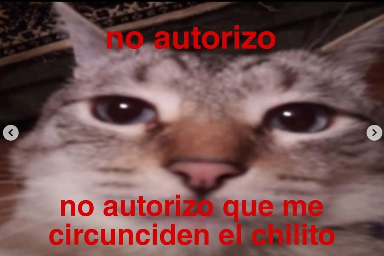 Memes sobre la falsa circuncisión obligatoria de Claudia Sheinbaum