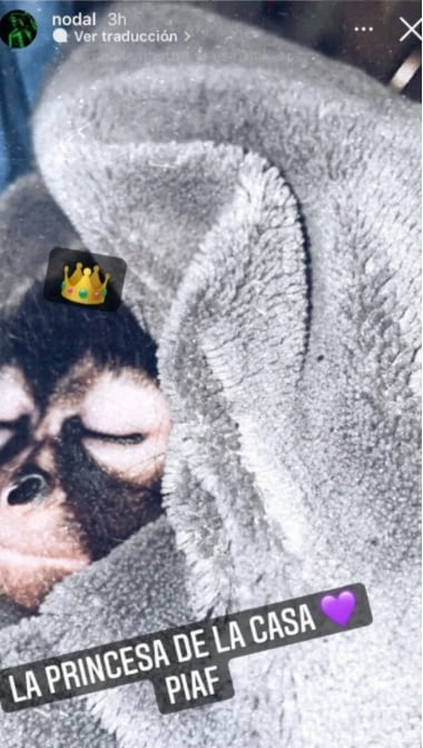 Christian Nodal presume su nueva mascota