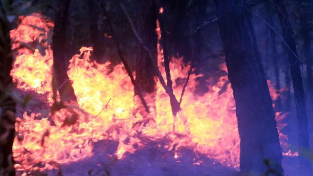Incendio forestal en el paraje conocido como La Canoa, Cuernavaca.