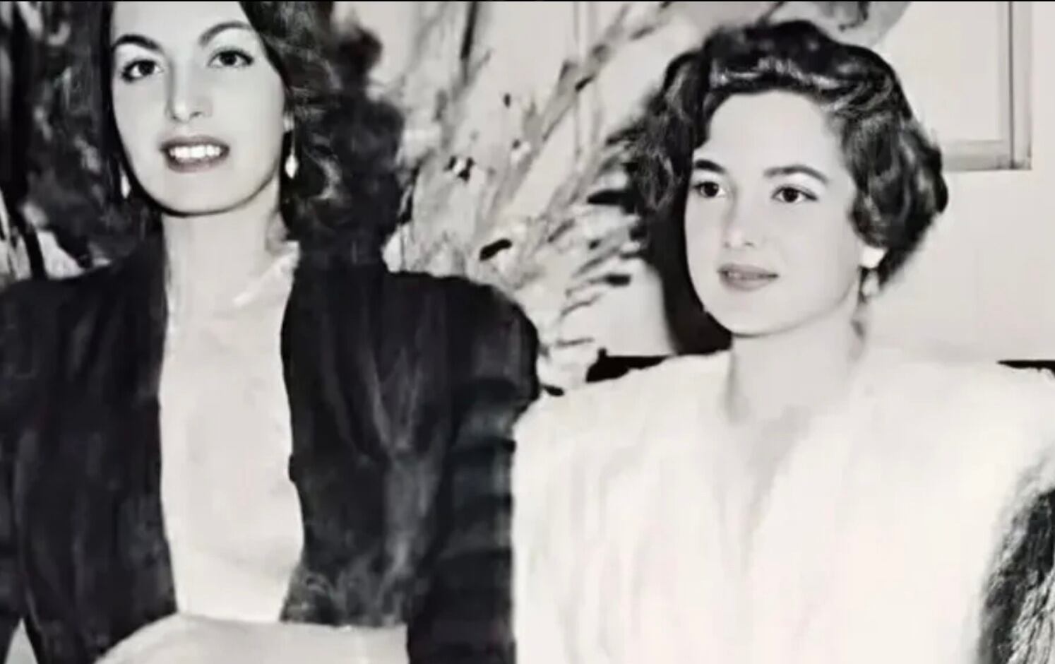 Elsa Aguirre y Alma Rosa Aguirre