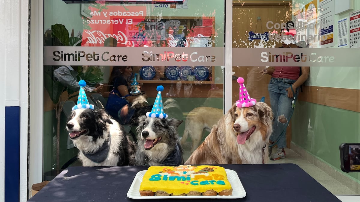 Simi Pet SimiPet Care del Dr. Simi: Precio de la consulta para perros, gatos y ...