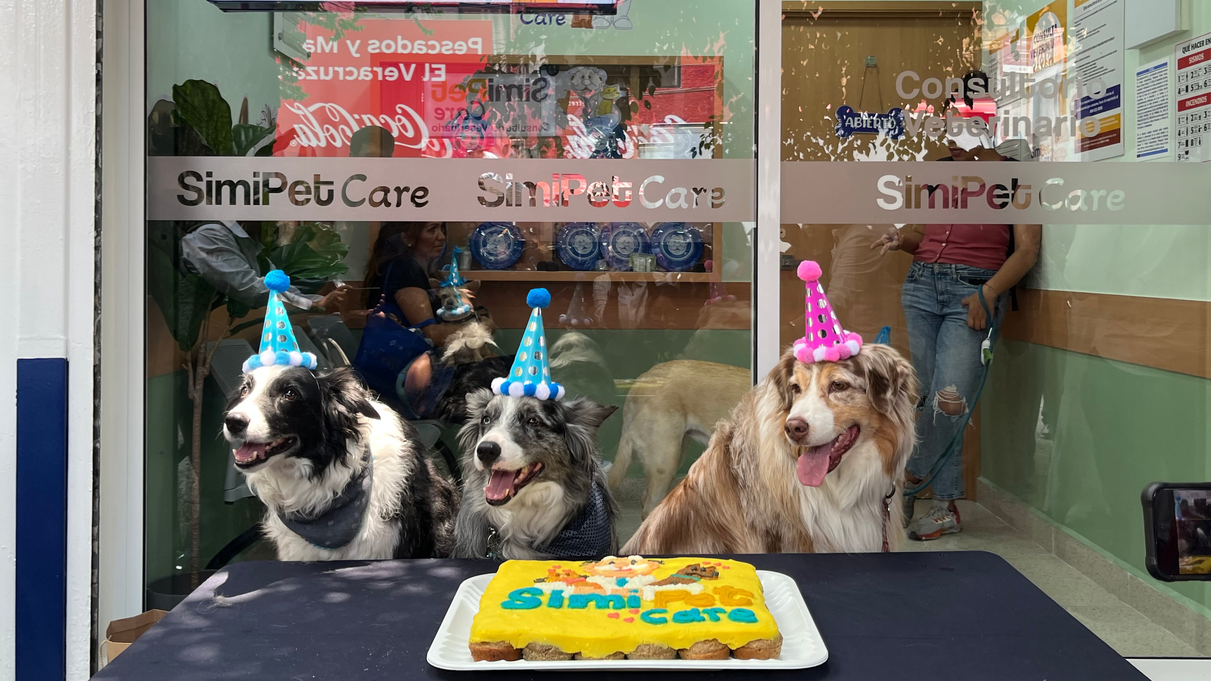 SimiPet Care del Dr. Simi: Precio de la consulta para perros, gatos y más curiosidades de la inauguración de Farmacias Similares