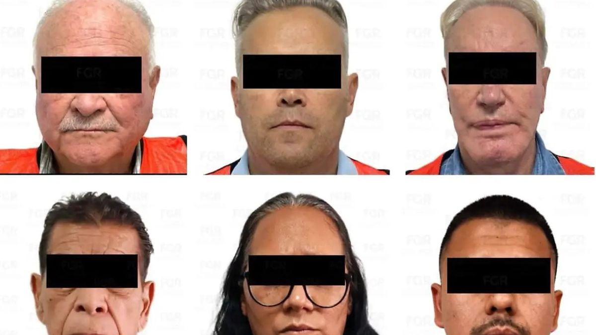 ¿Quién es Adriana Magali Bárcenas Guillén? Accionista de Logística Ferroviaria Fargo