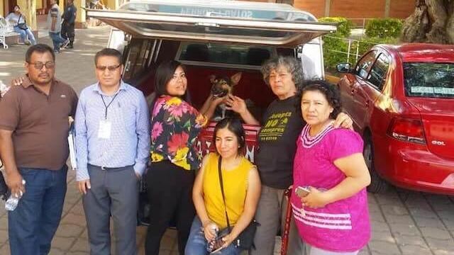 Liberan a perro encarcelado en Oaxaca