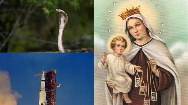 Hoy 16 de julio es el Día Mundial de la Serpiente, es el aniversario del lanzamiento de Cabo Cañaveral del Apolo XI y el Santoral de la Virgen del Carmen
