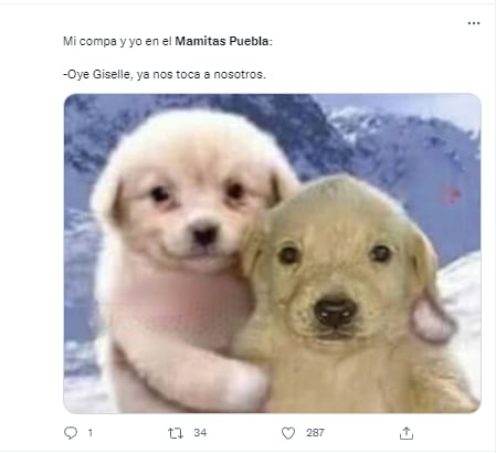Memes de Mamitas Puebla.