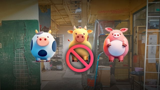 La venta de animales vivos en el Mercado de Sonora queda oficilmente prohibida.