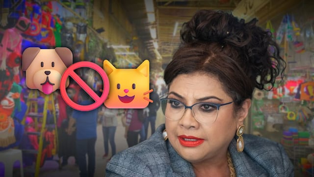 Clara Brugada sobre venta clandestina de animales en el Mercado de Sonora