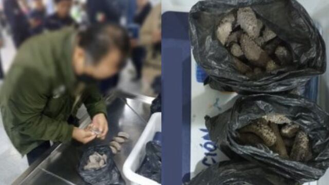 Detenidos en el AICM