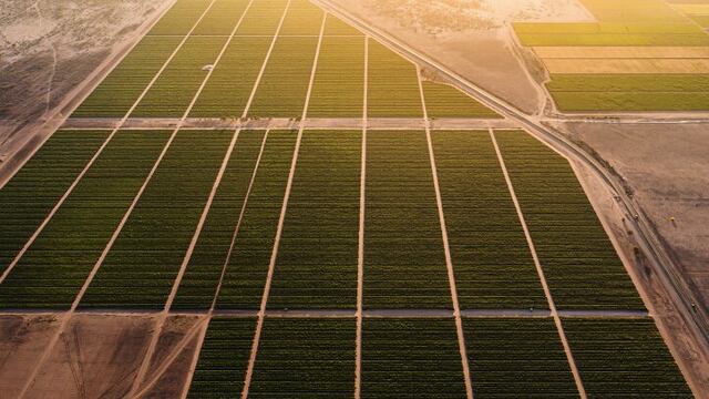 De 1973 al 2021: El despojo del agua en Comondú