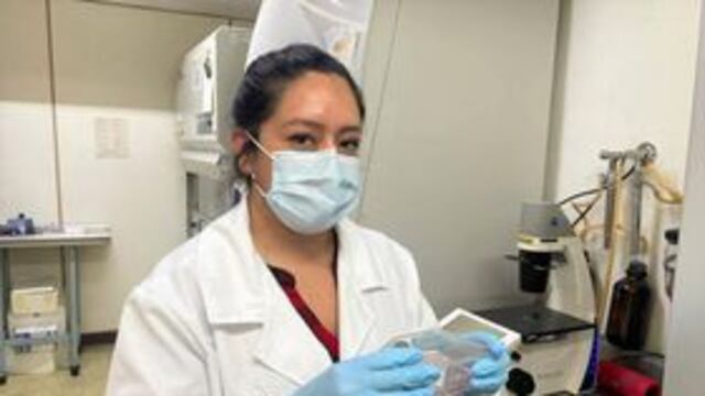 Paola Castillo Juárez