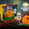 Set LEGO calabaza de Halloween en Mercado Libre: Precio y cuánto tarda en llegar el coleccionable