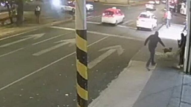 Momento del ataque al perro