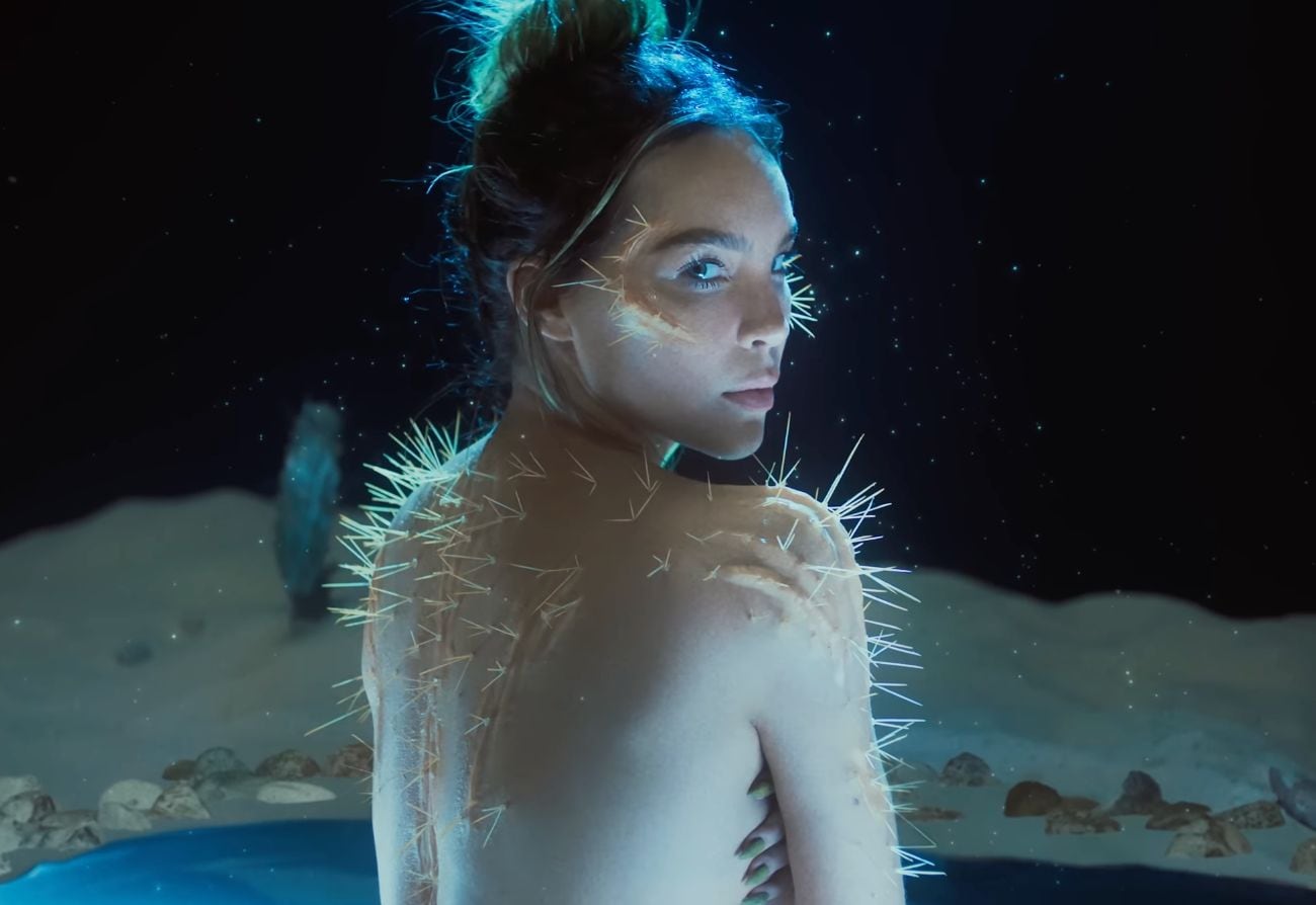 “Cactus” de Belinda