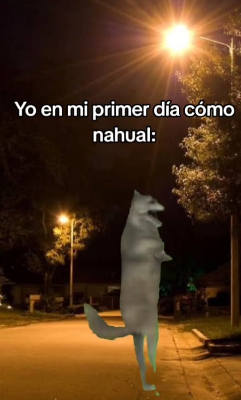 Meme de TikTok "ijbiñij"
