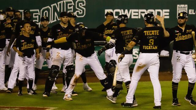 Leones de Yucatán