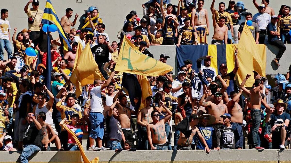 La hinchada felina alentando.