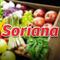 Martes y Miércoles del Campo Soriana 4 de julio: Estas son las mejores ofertas