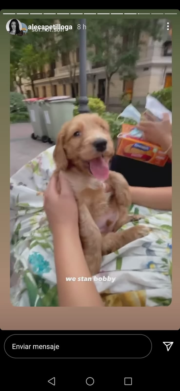 Historia de Instagram