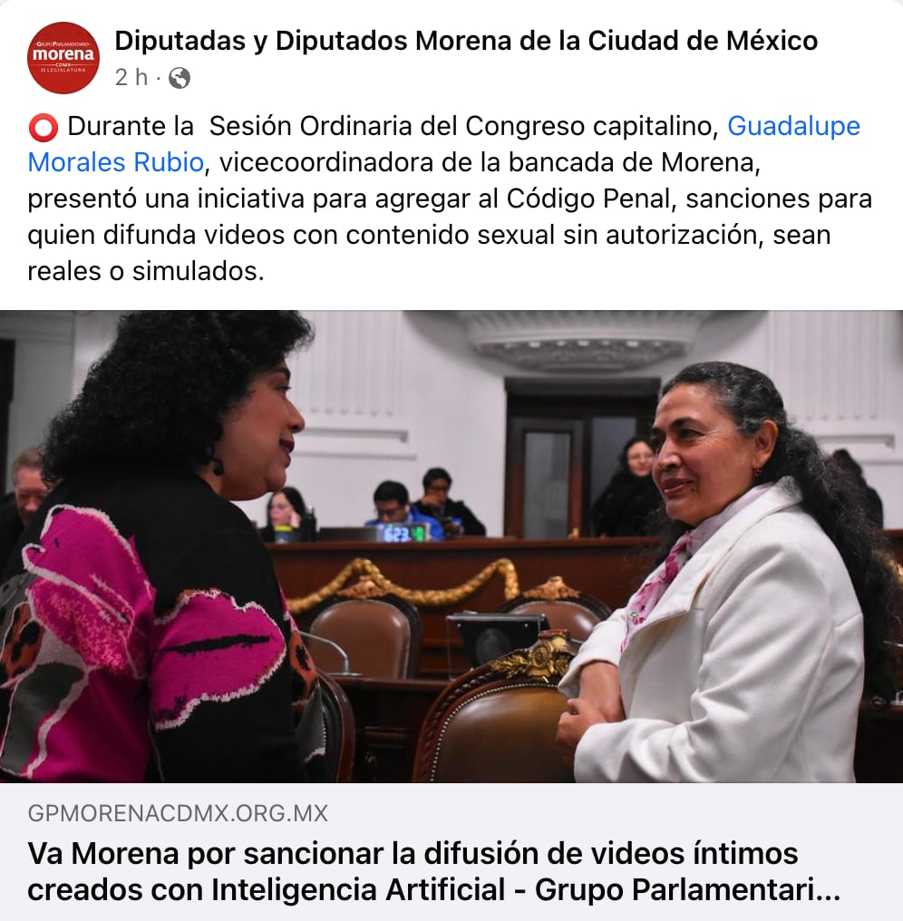 ¿Quién es Guadalupe Morales Rubio?