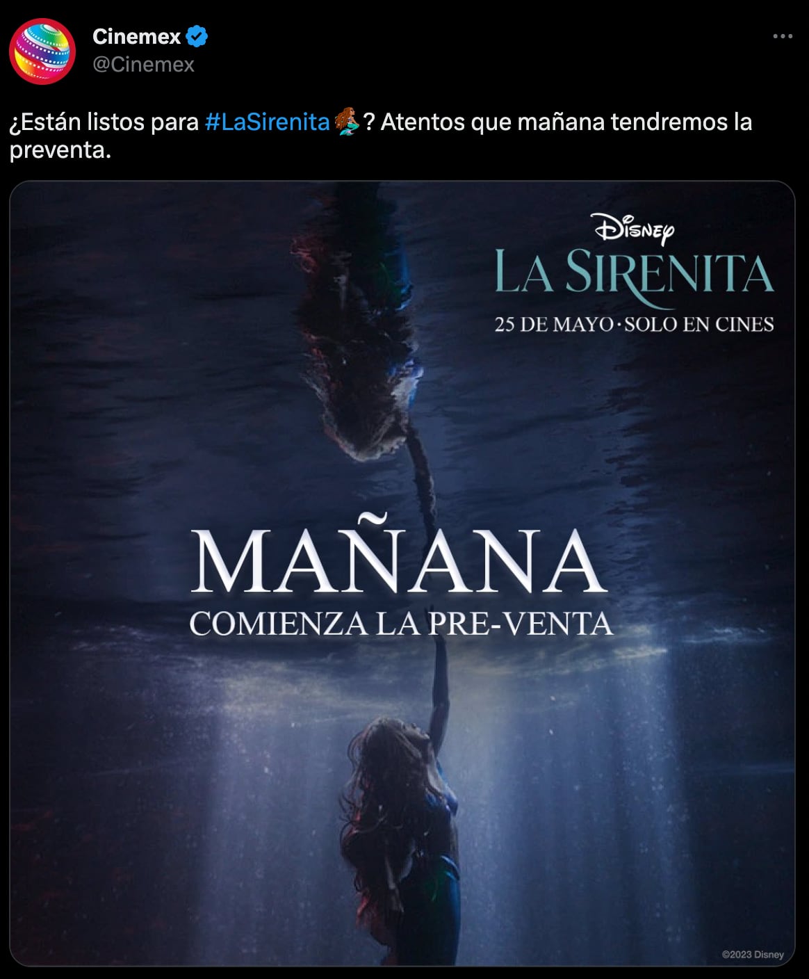 Preventa La Sirenita