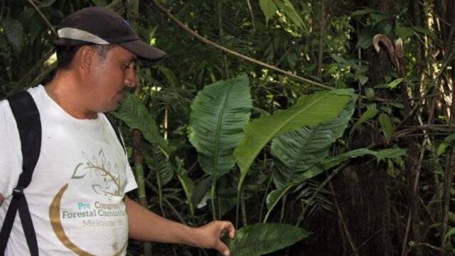 Walter Manfredo Méndez Barrios, ambientalista asesinado en Guatemala