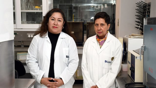 BUAP desarrolla esteroides anabólicos capaces de aumentar la masa muscular sin efectos secundarios