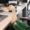 Pato Merlín ya tiene registro de marca; IMPI reconoce a su propietaria
