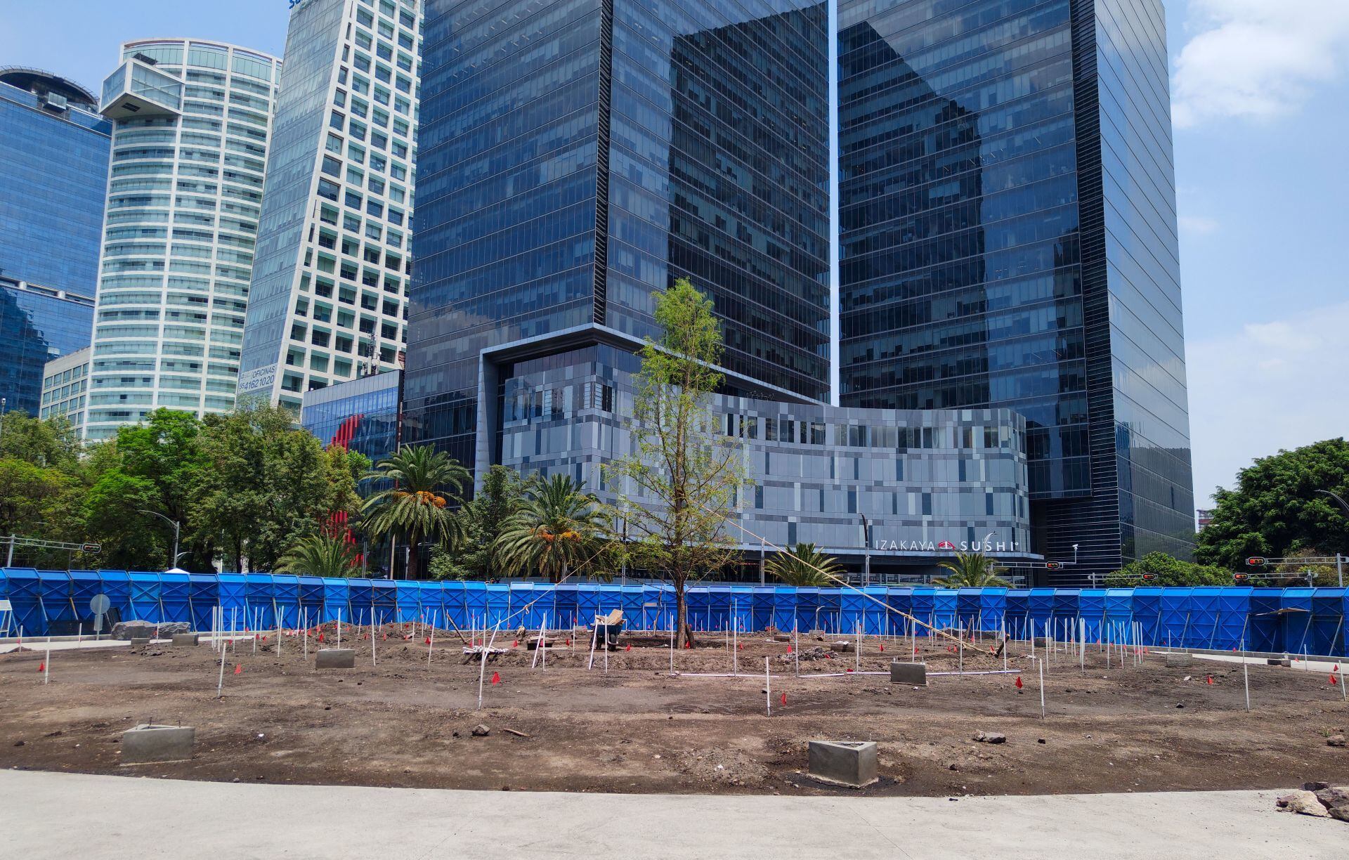 Nuevo ahuehuete de Paseo de la Reforma