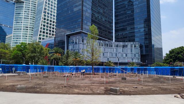 Nuevo ahuehuete de Paseo de la Reforma