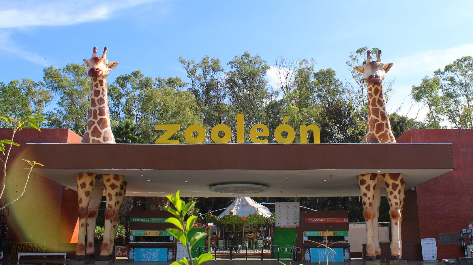 ZooLeón fortalece conservación de especies con inversión de 205 mdp