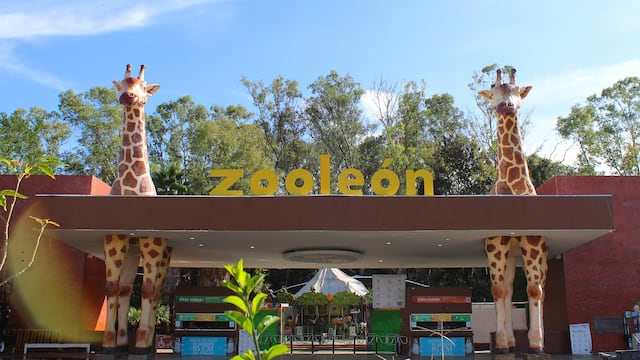 ZooLeón fortalece conservación de especies.