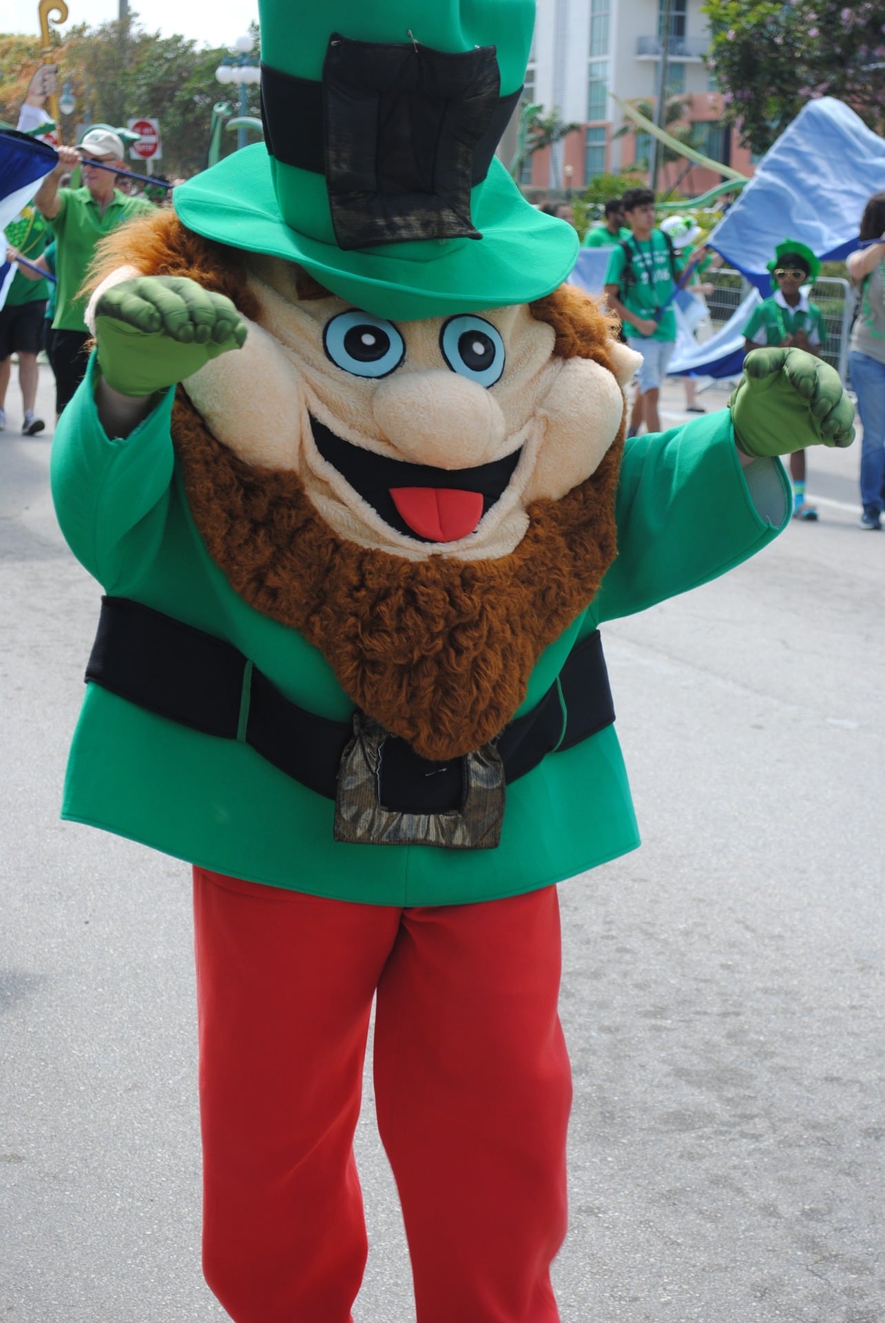 Duende en el Día de San Patricio