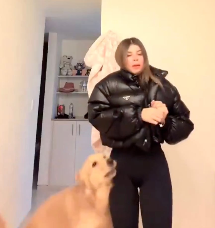 Golden Retriever, clave en tensión previa a feminicidio de Carolina Flores