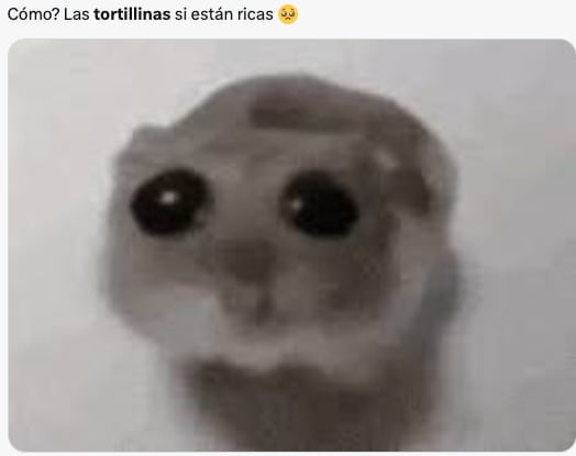 Las Tortillinas desatan una ola de memes en redes