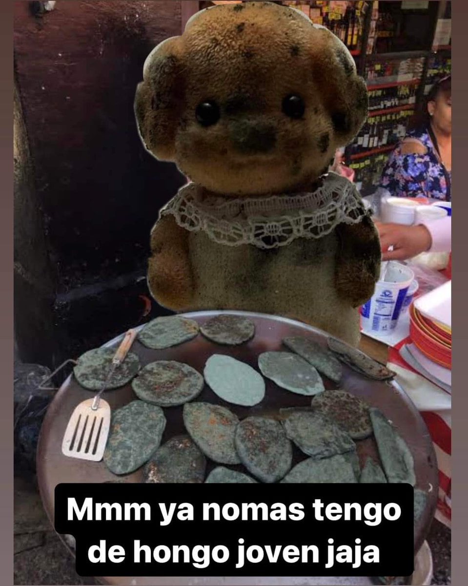 Memes del Ternurín lleno de hongos