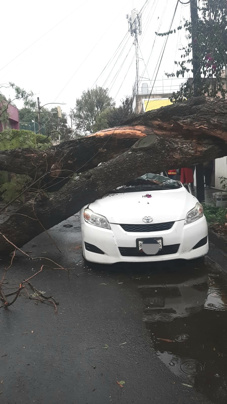 Coyoacán atiende emergencia por lluvias